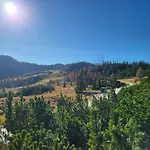 Zeffereralm Forstau (Salzburg)