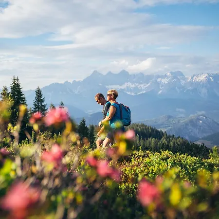 Zeffereralm Apartament Forstau (Salzburg)