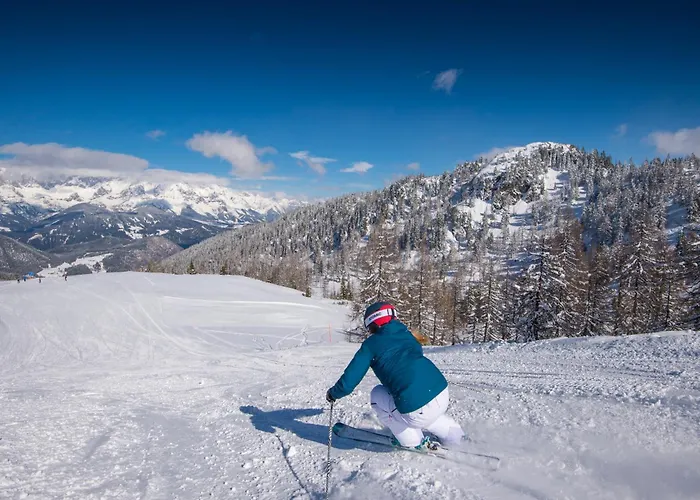 Appartement Zeffereralm Forstau (Salzburg)