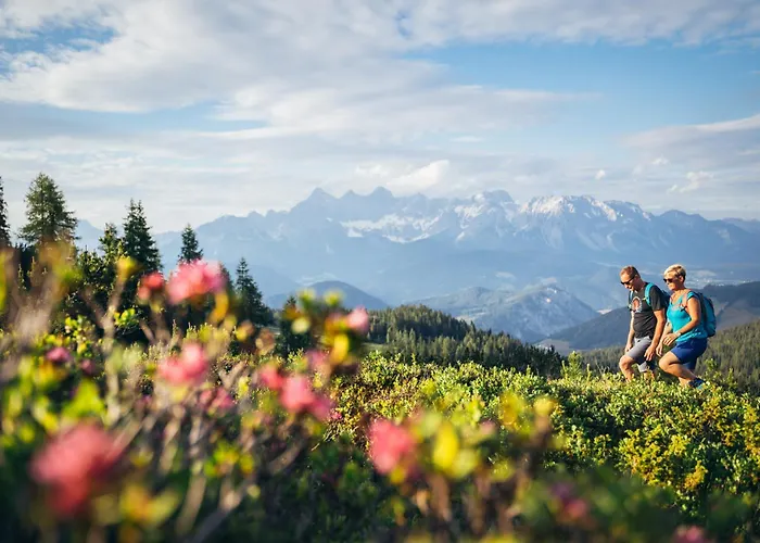 Zeffereralm Appartement