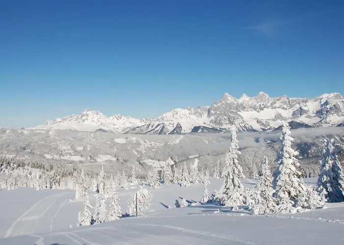 Apartamento Zeffereralm *