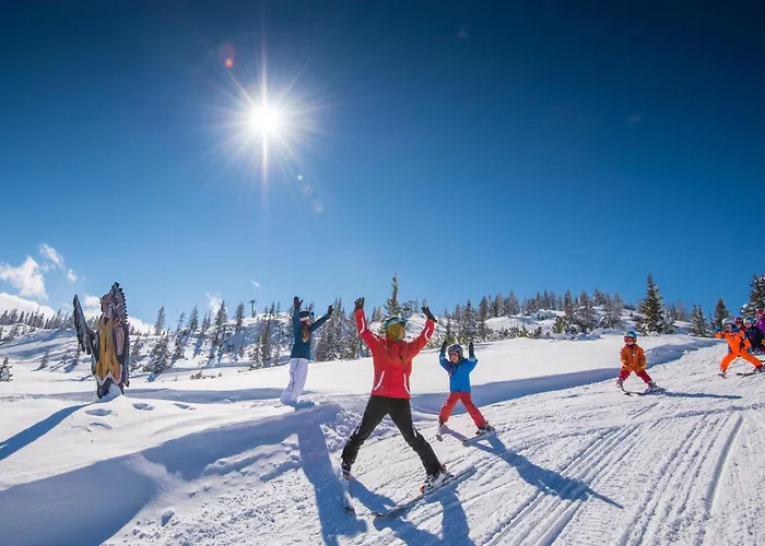 Appartement Zeffereralm Forstau (Salzburg)