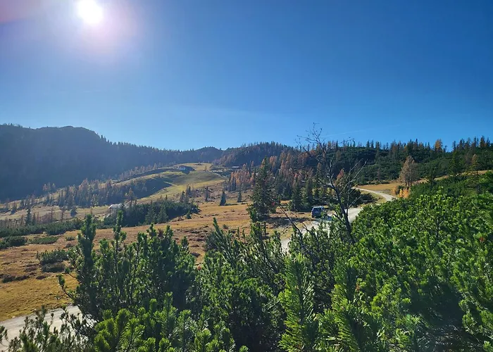 Zeffereralm Forstau (Salzburg)